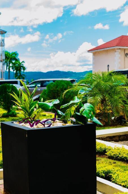 Falcon Islandview - Airport Pickup Available - 24Security Montego Bay Exteriör bild